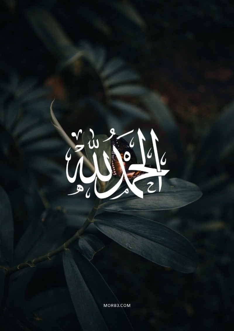 عبدالعزيز عبدااالقادر