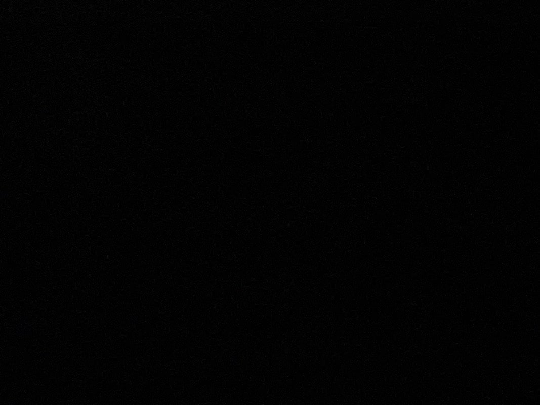 بشرى المطيري