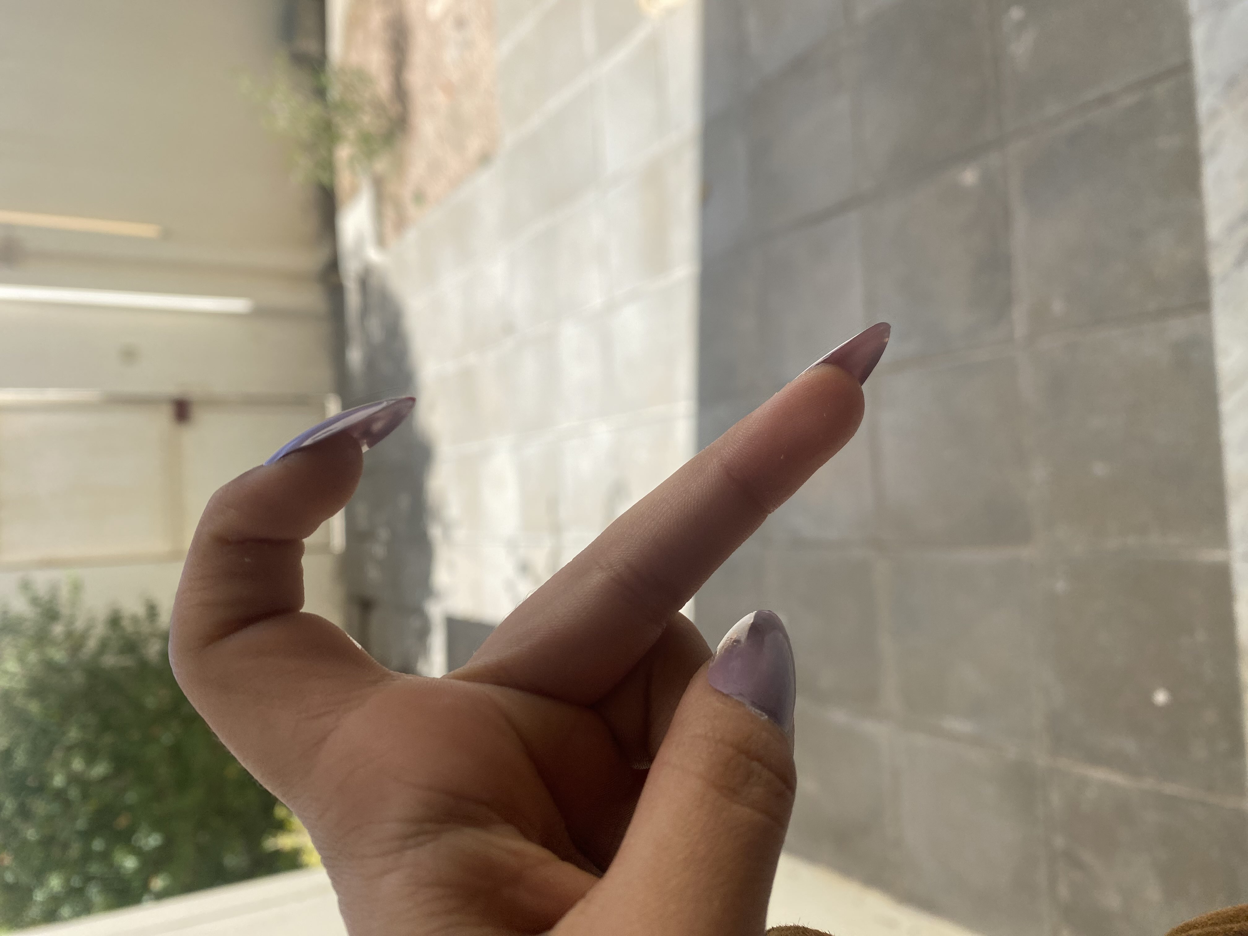 دلال العتيبي