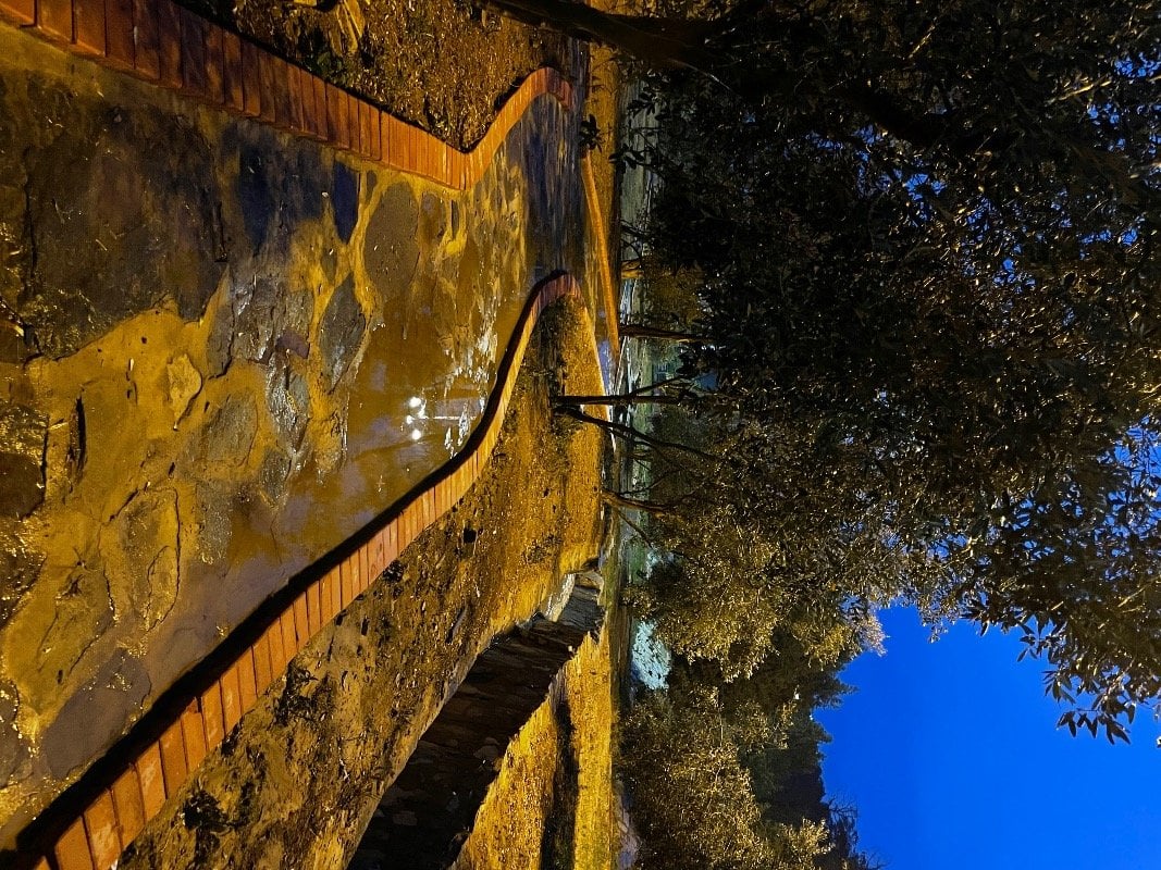 حنان الغامدي