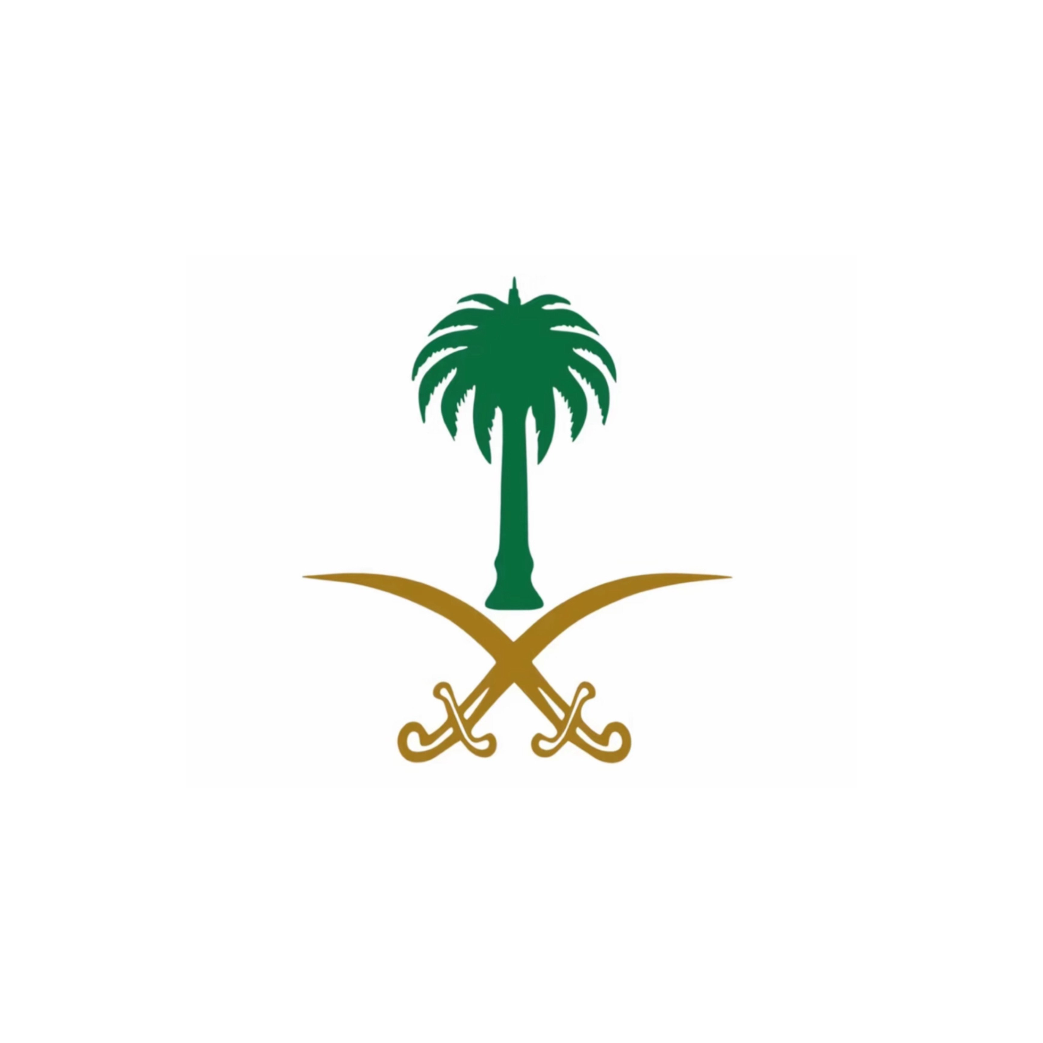 رائد المالكي