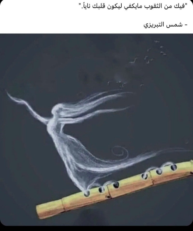سامية حسن