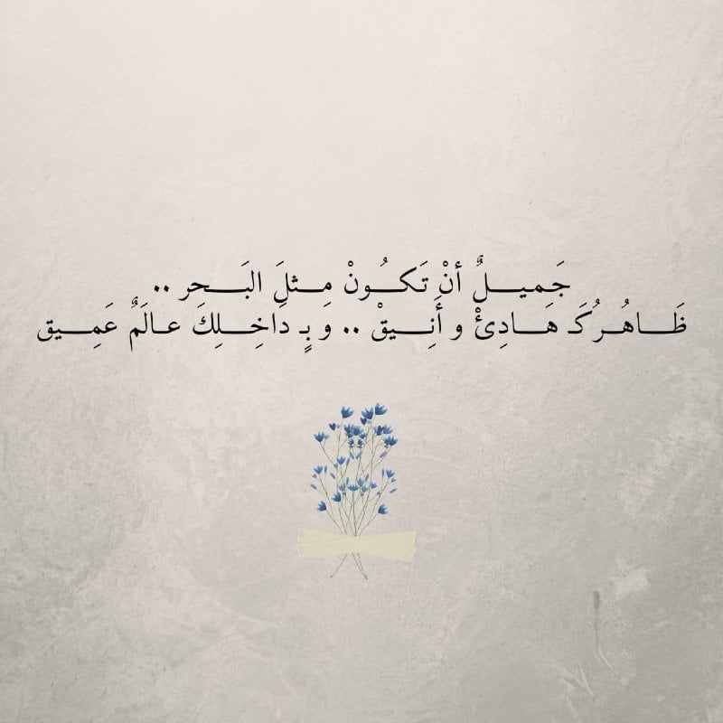 صخر أحمد