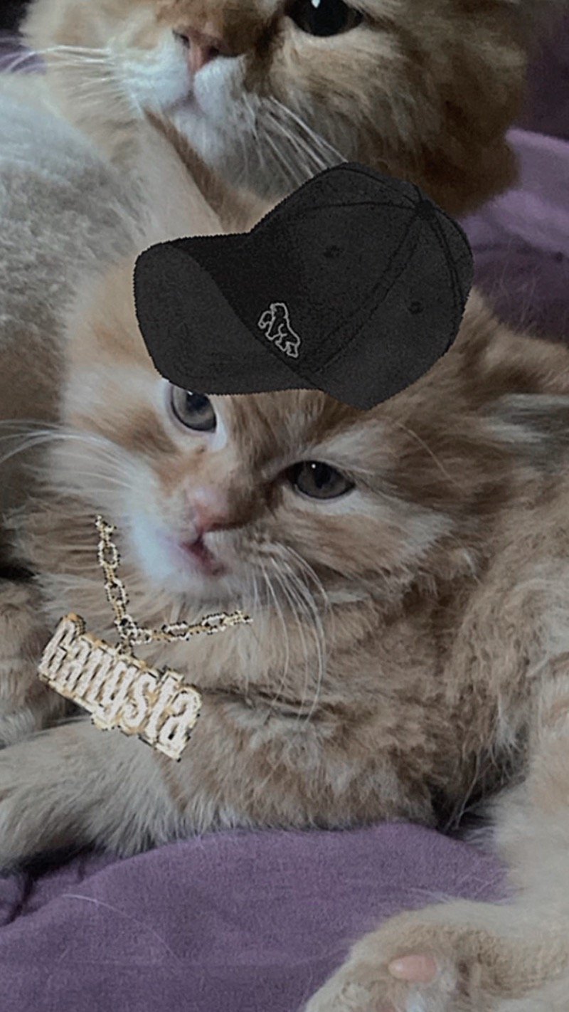 سموي الخالدي