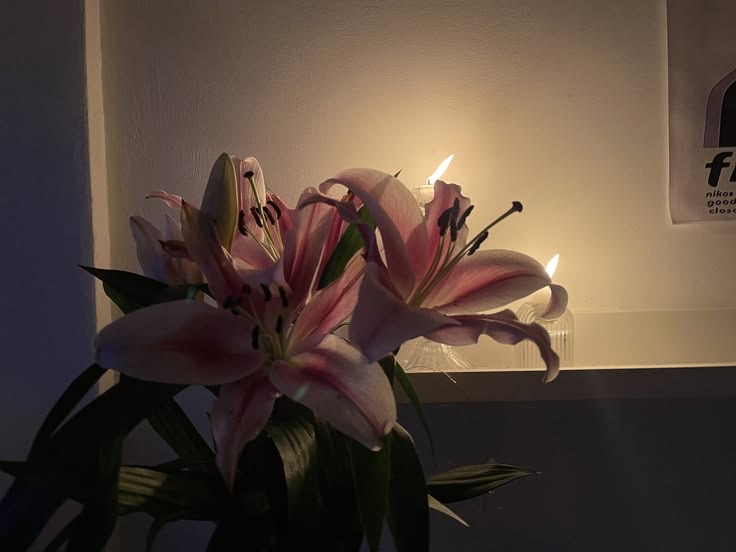 دانه الحربي