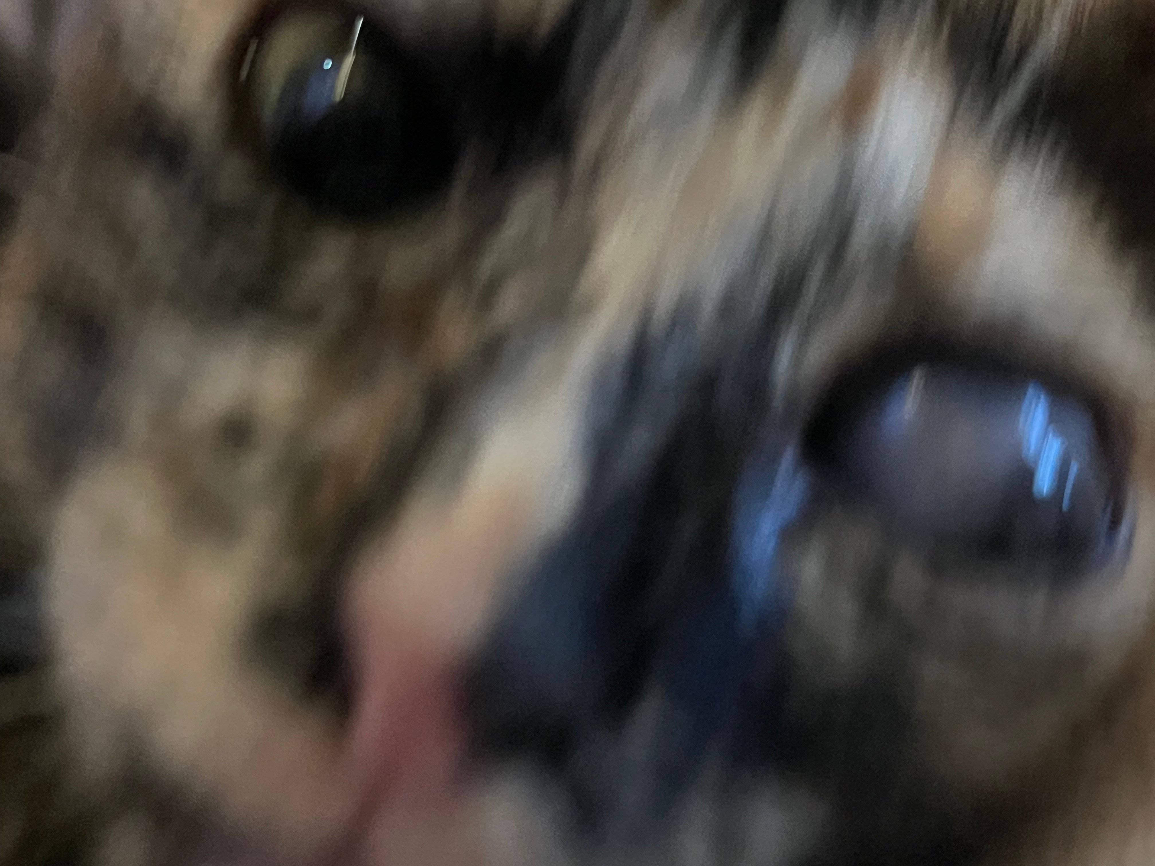 سعد الحازمي