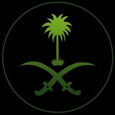 هاني الغامدي