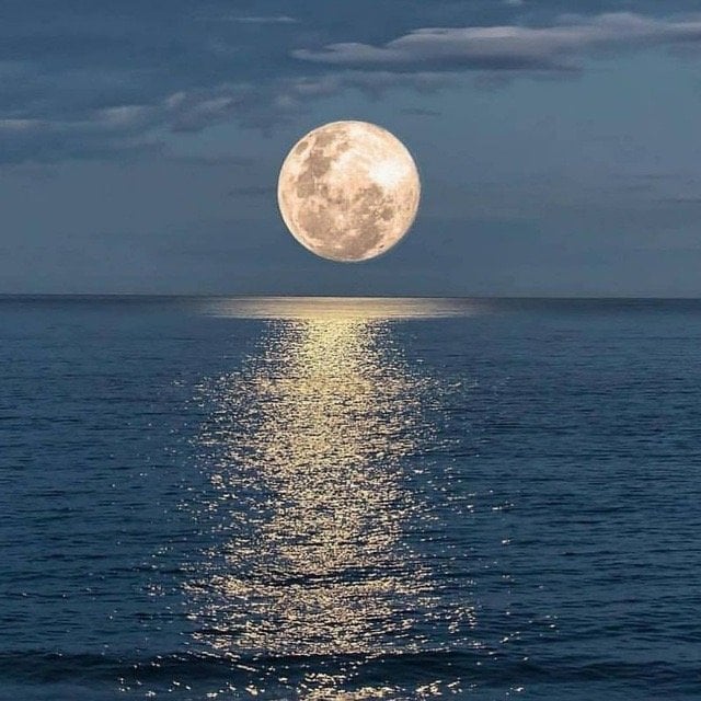 ريان الشمري