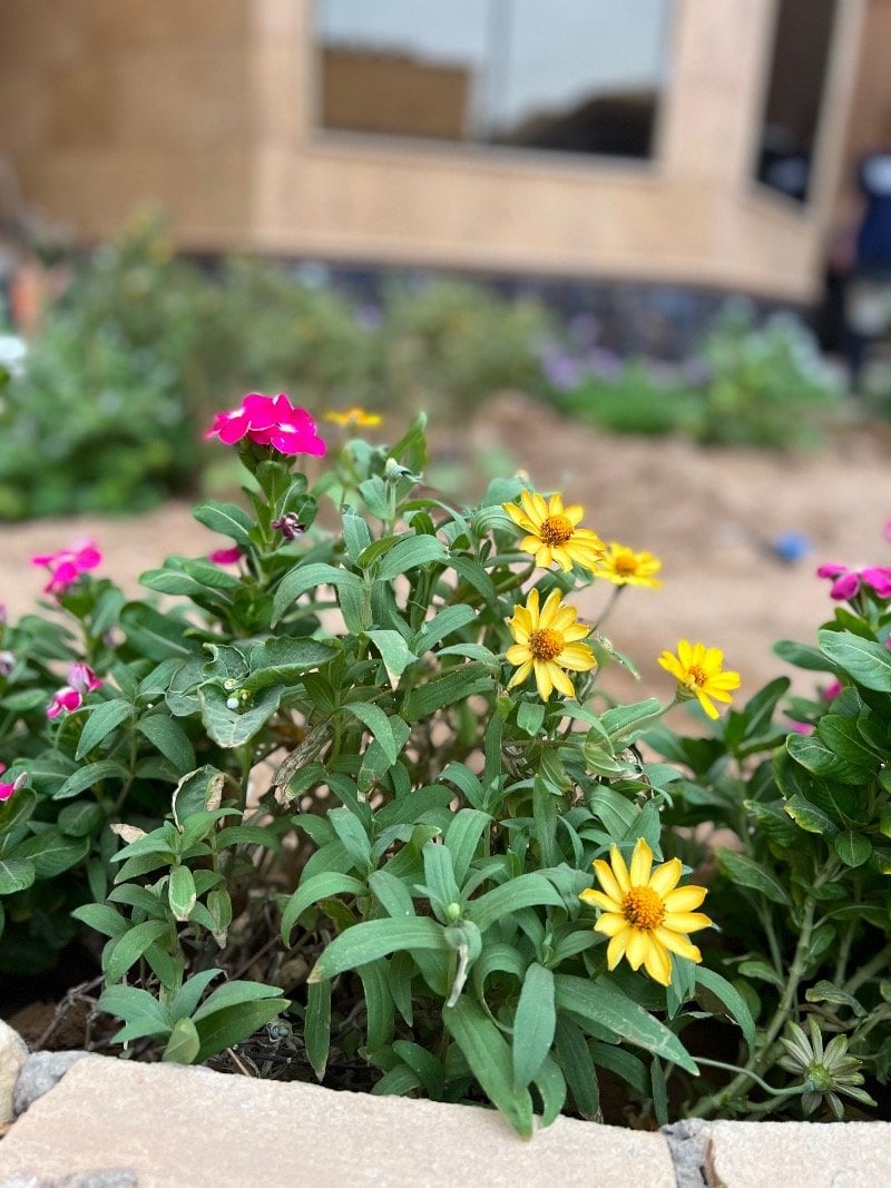 عبدالرحمن الفراج