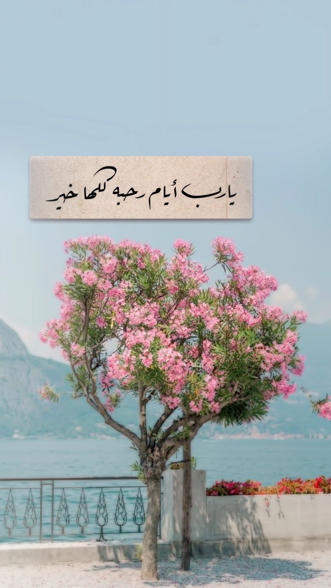 خالد الدوسري