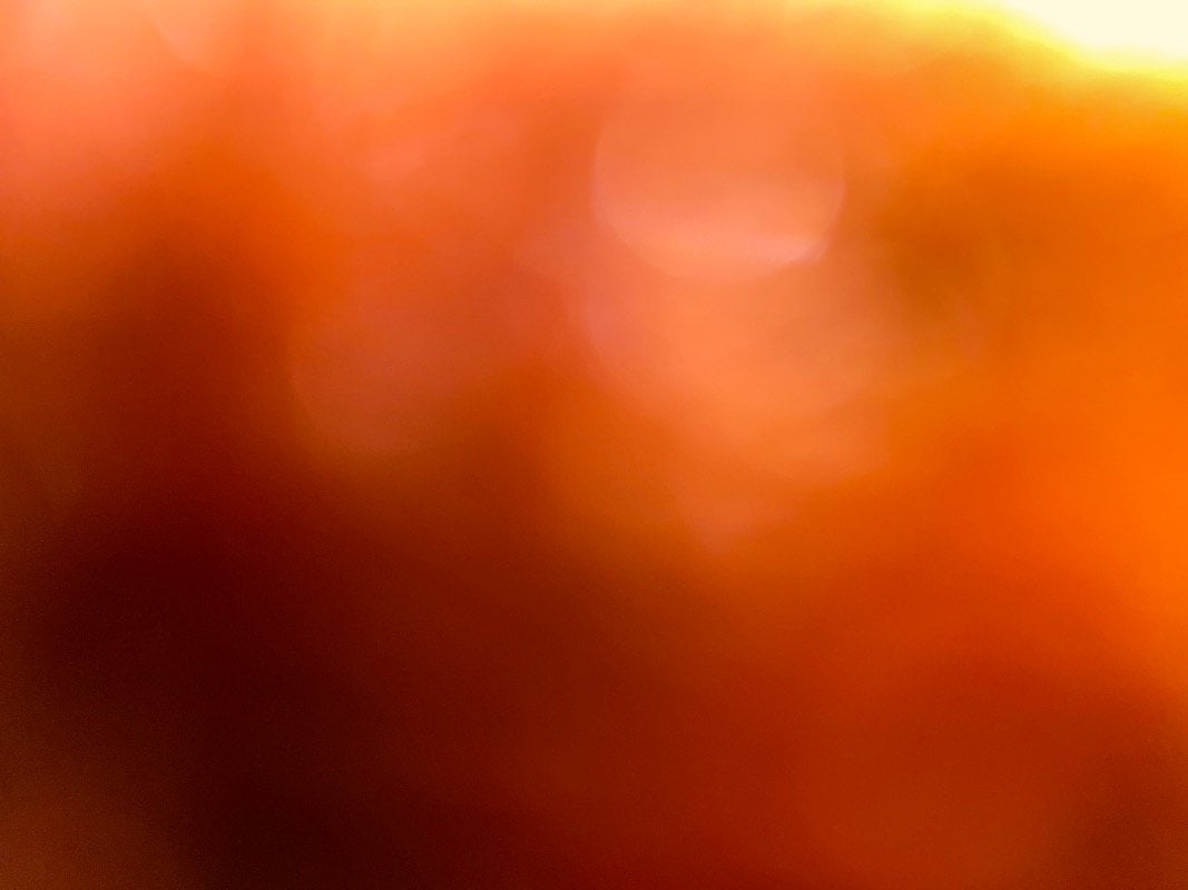 شواهينه العتيبي