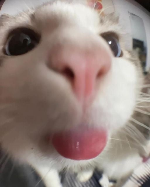 M H
