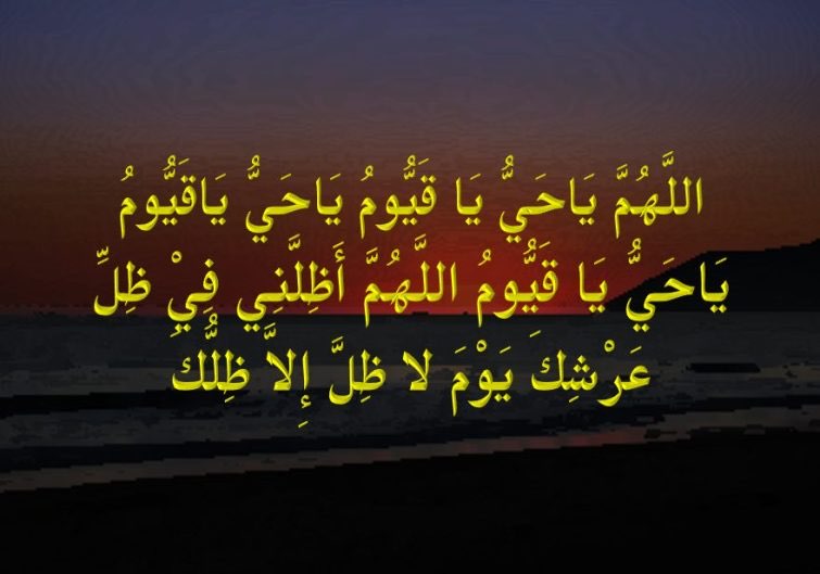 نوره محمد
