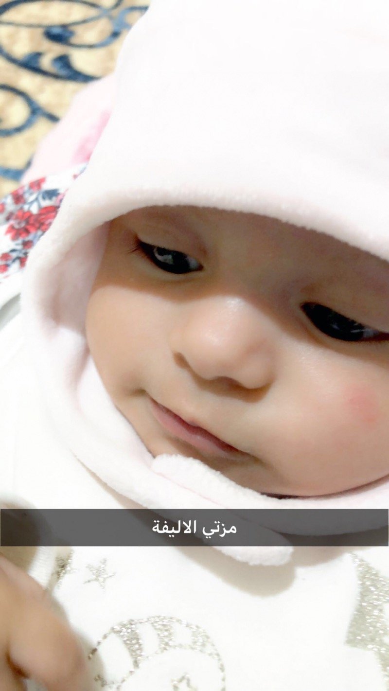 ملوك الراشد