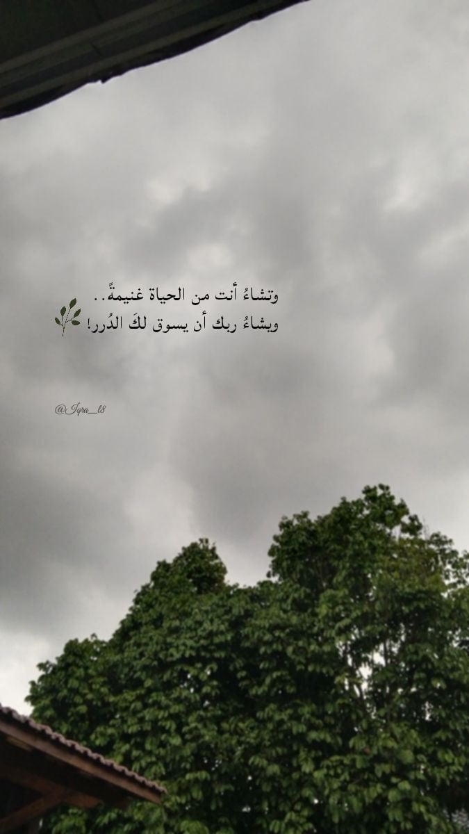 عائشة الحلوان