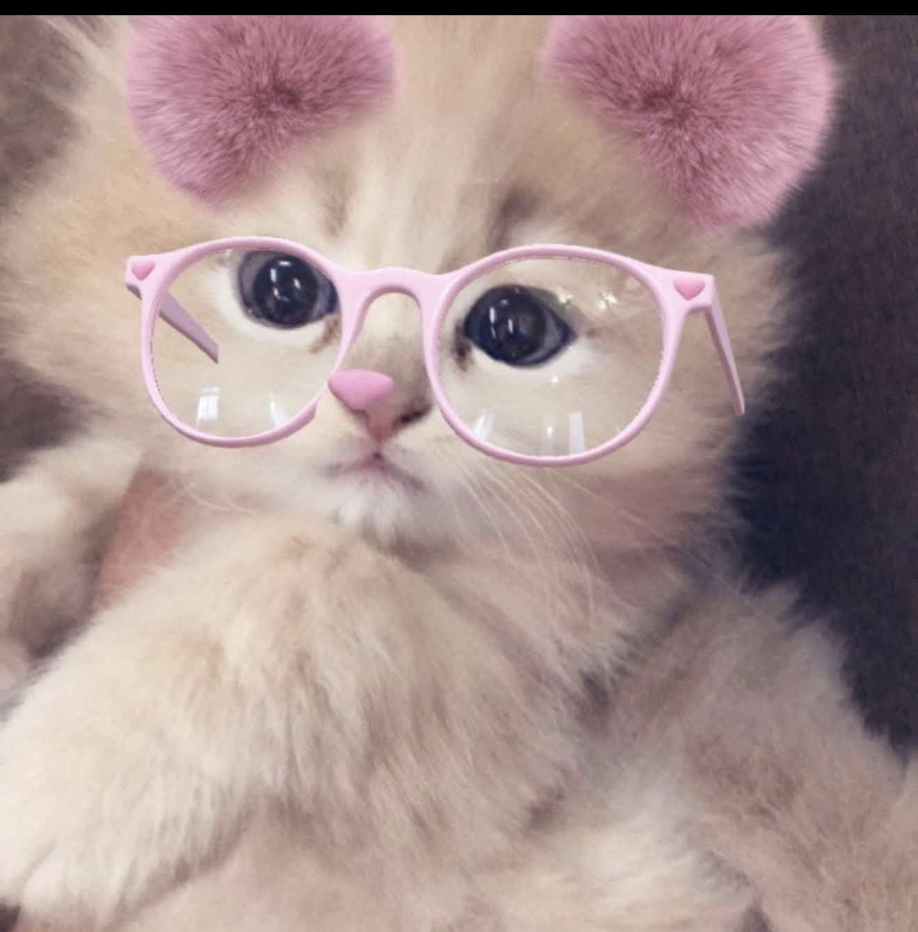منال العمودي