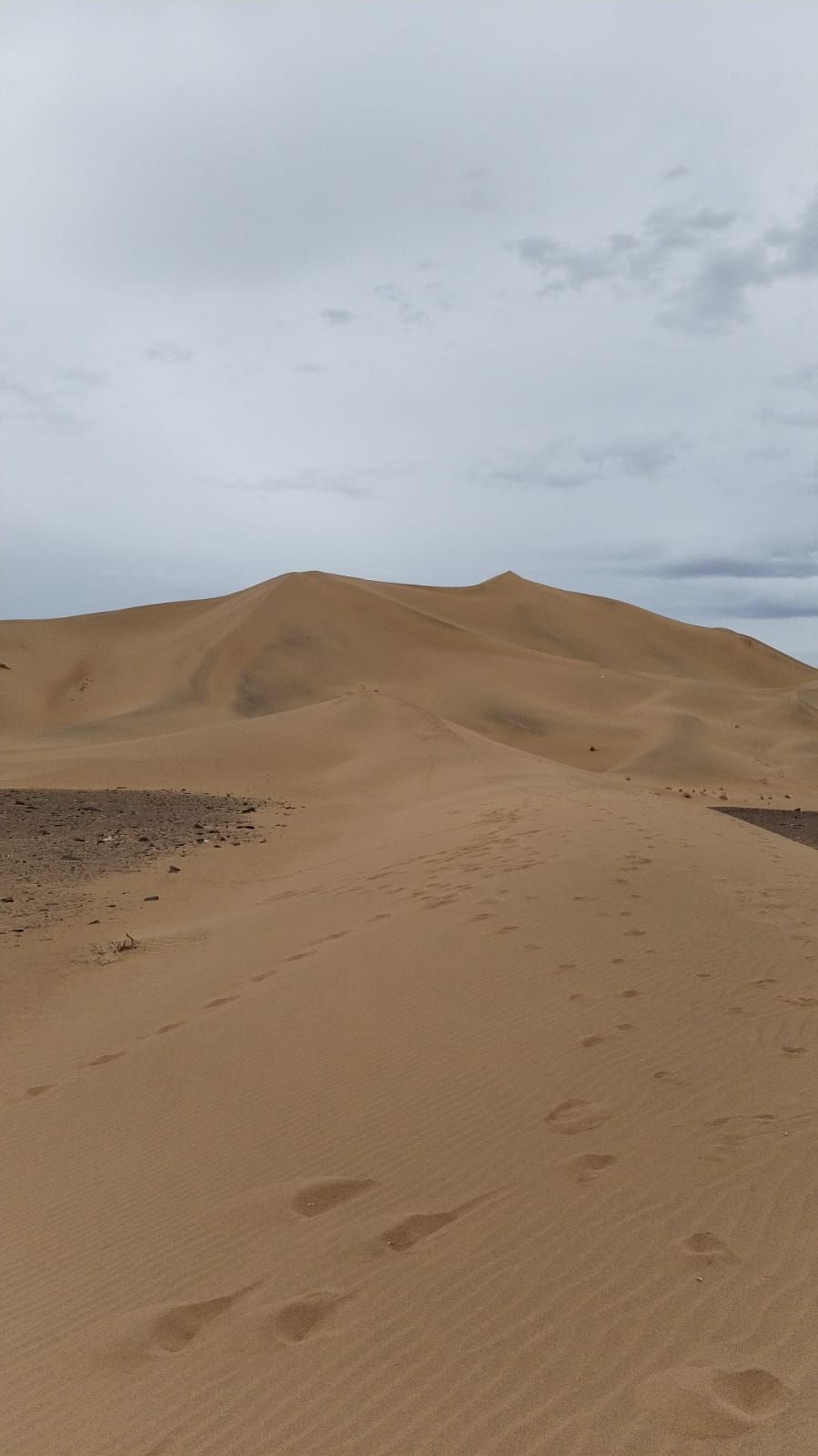 عبدالله بارقي