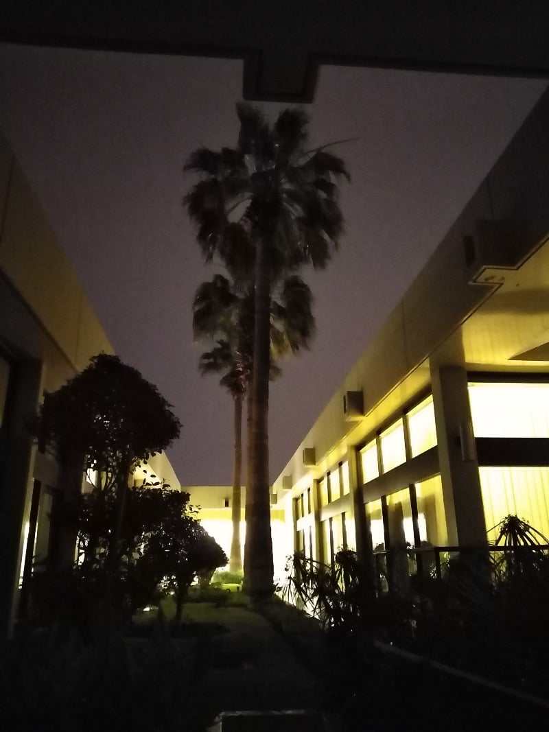 عيسى ابونايف