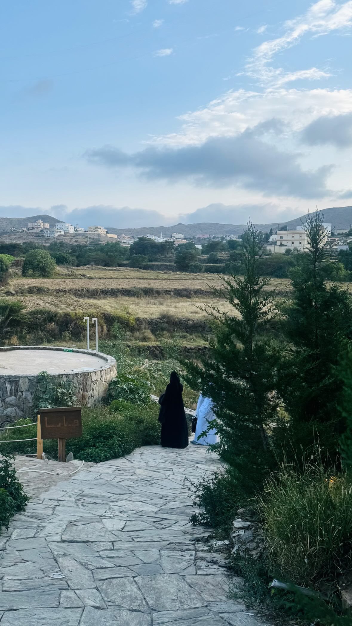 ارين الفيفي