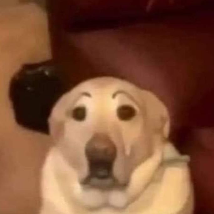 عون 