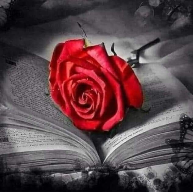 حنان الاحمدي