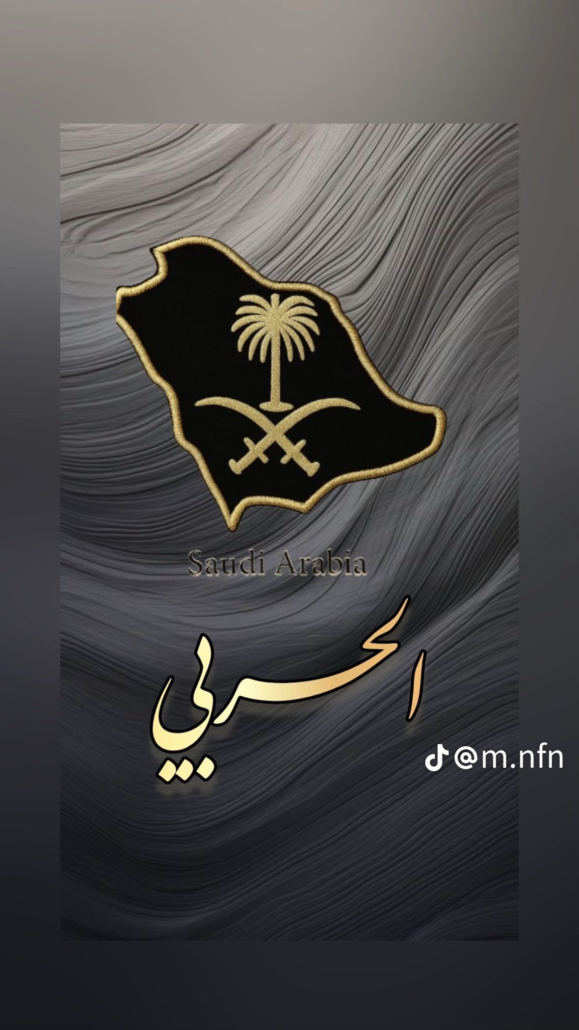 امجد الحربي