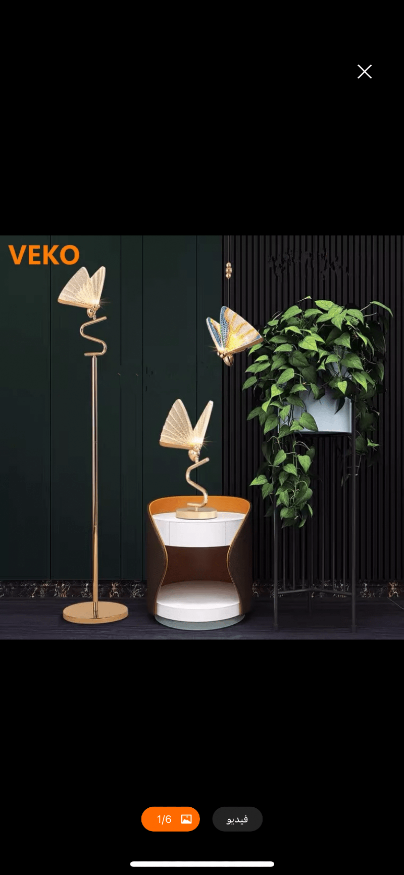 نوف أبوالحسن