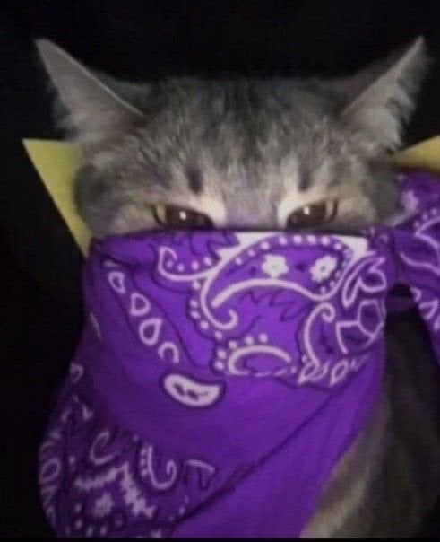 بركات العامري