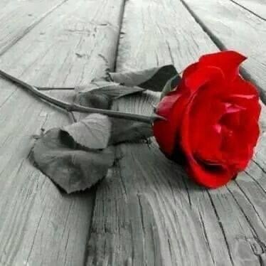 احمد رحماني