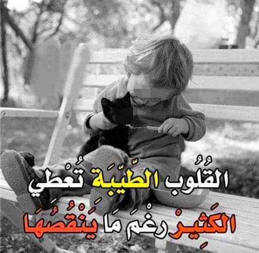 شموخ القحطاني