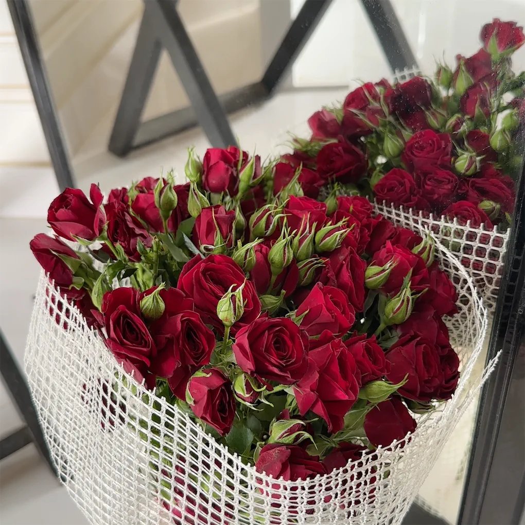 خديجة حسن عسيري عسيري