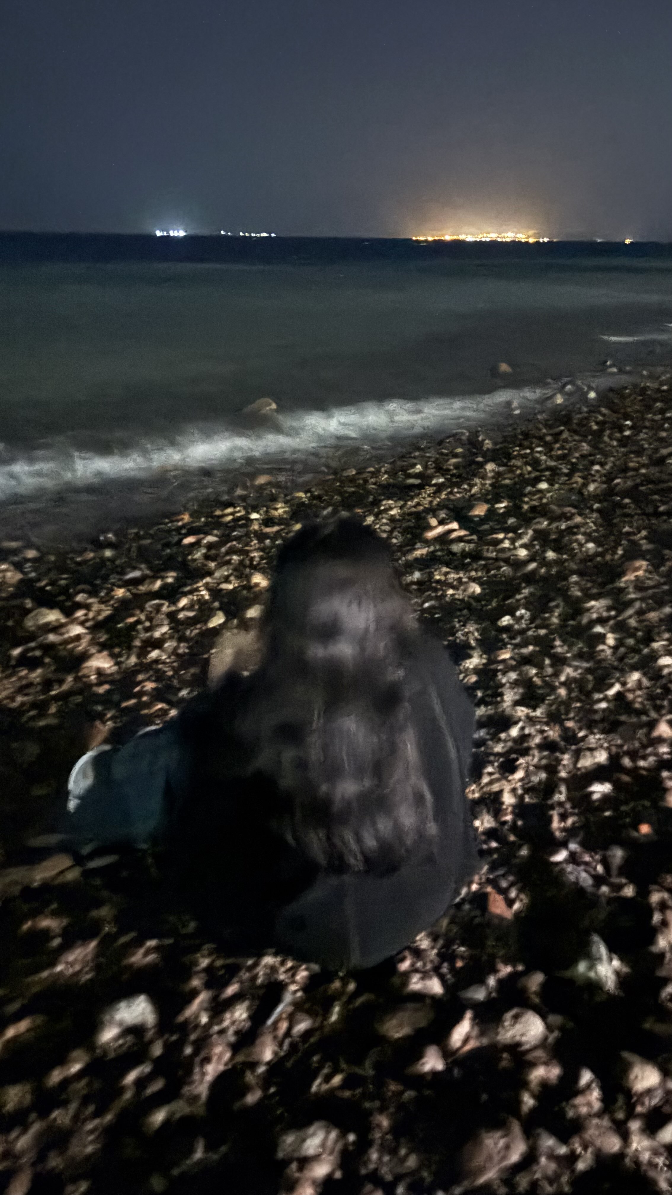 ليلى الياسين