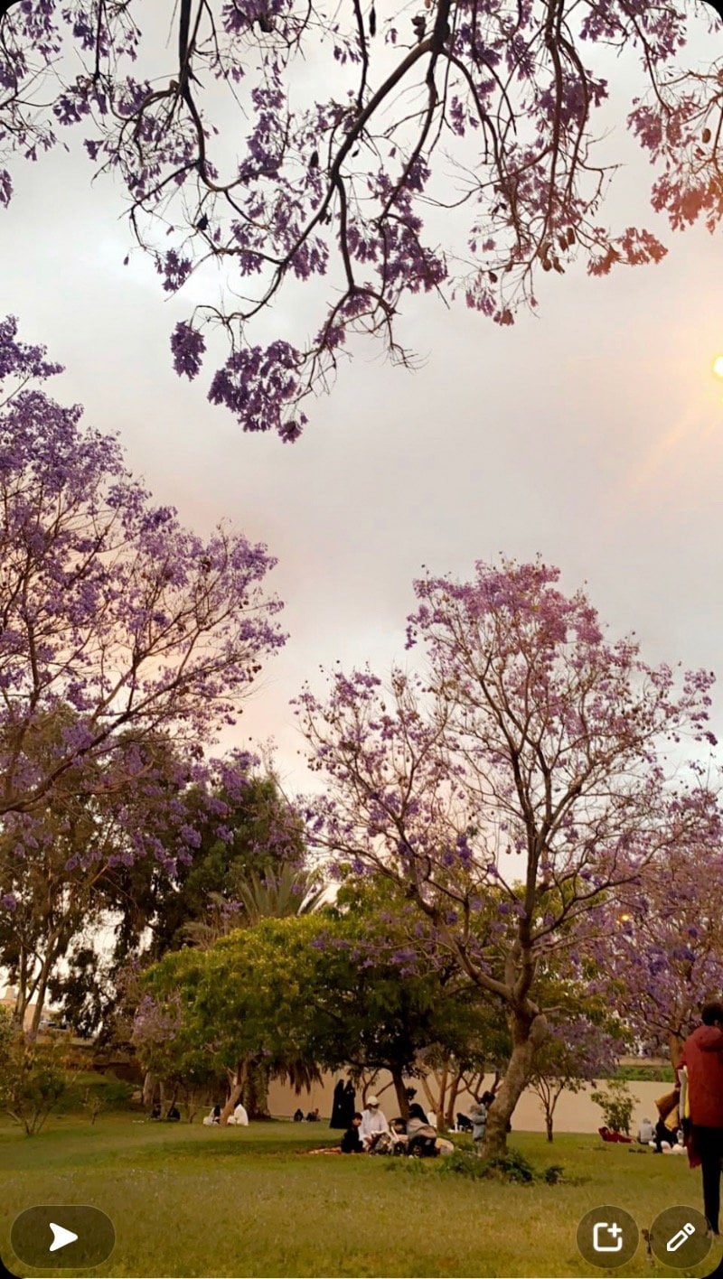 مرام العسيري