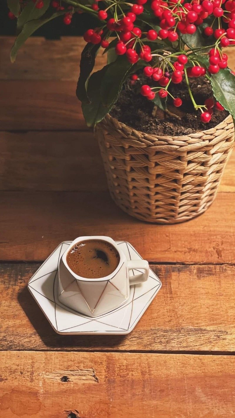 محمد عبدالعزيز