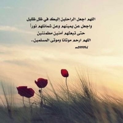 مستورة السيف