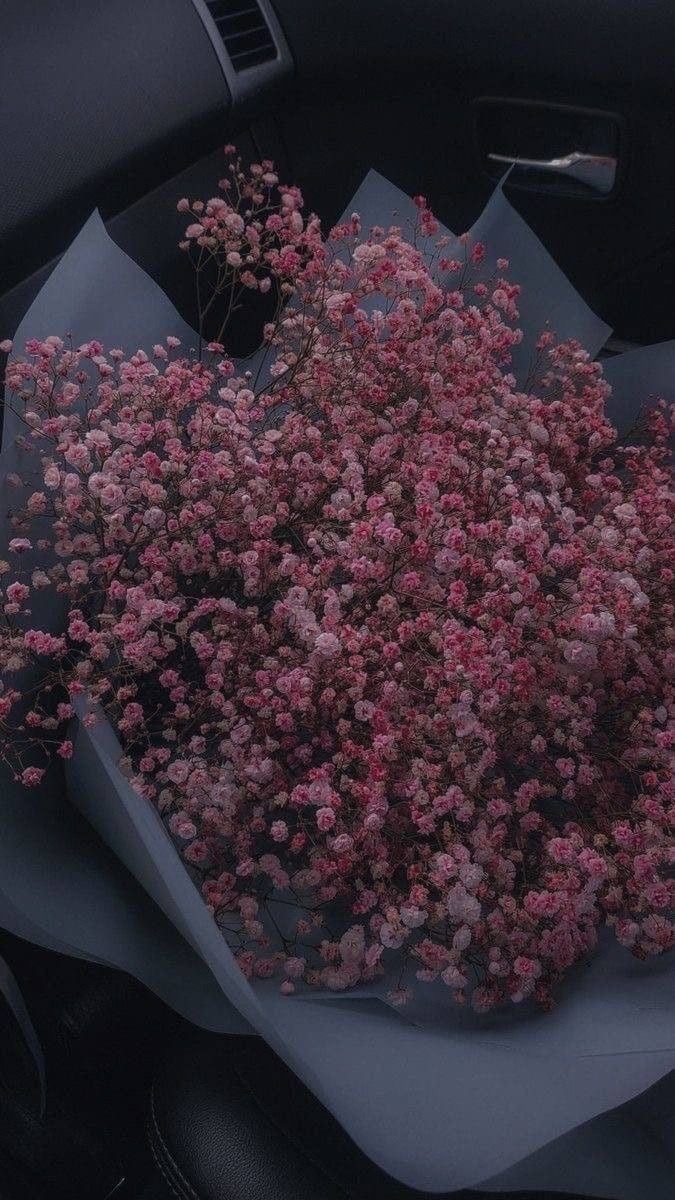 عبير الزهراني