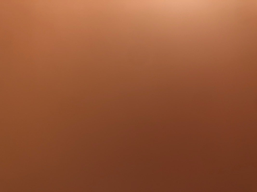 موسى الشاردي
