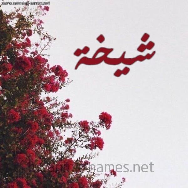 شيخه حي النسيم  - باحشوان