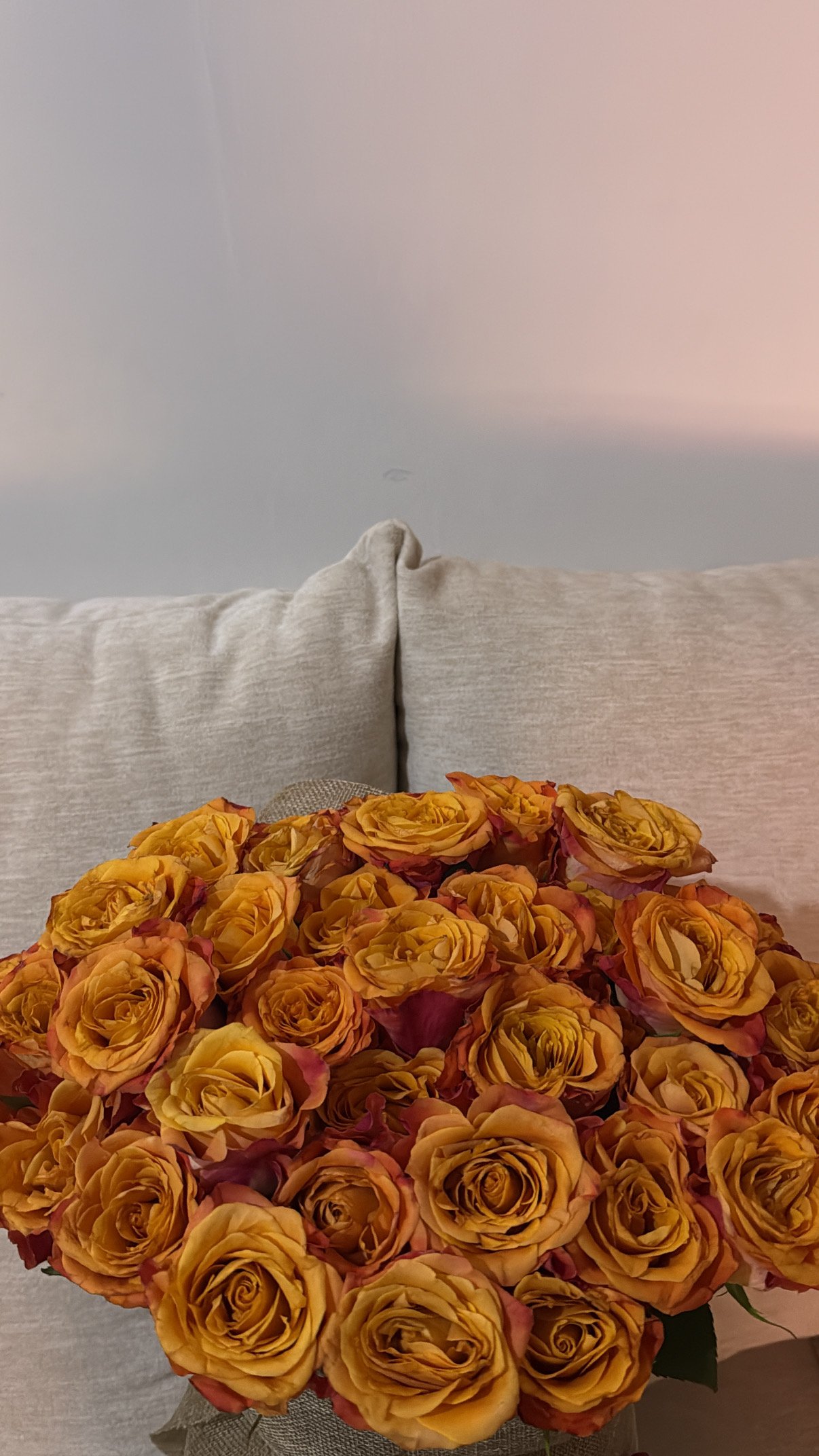 العنود محمد