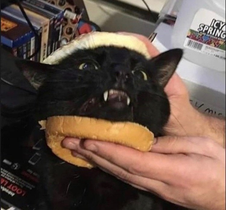 رويدا عبدالرحمن