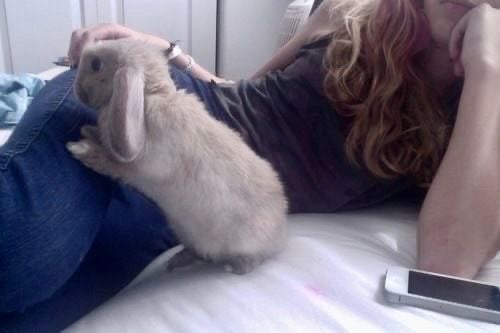 نوره العزيري