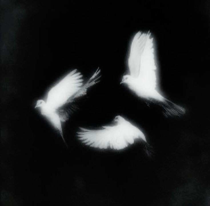 عبود العتيبي