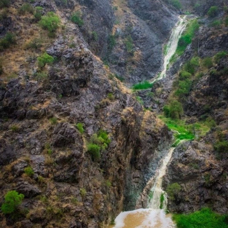 احمد الشهري