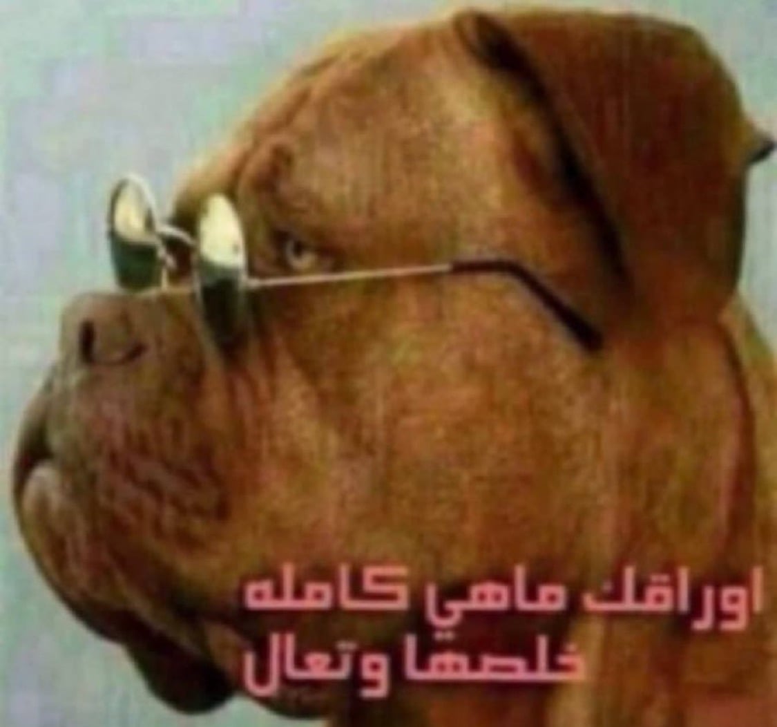 حسام 