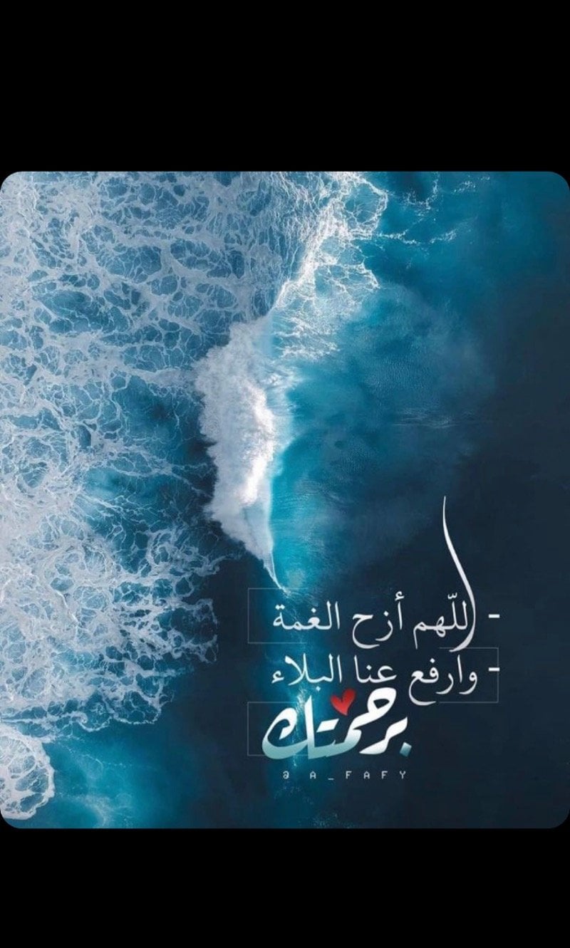 عبدالعزيز الباش