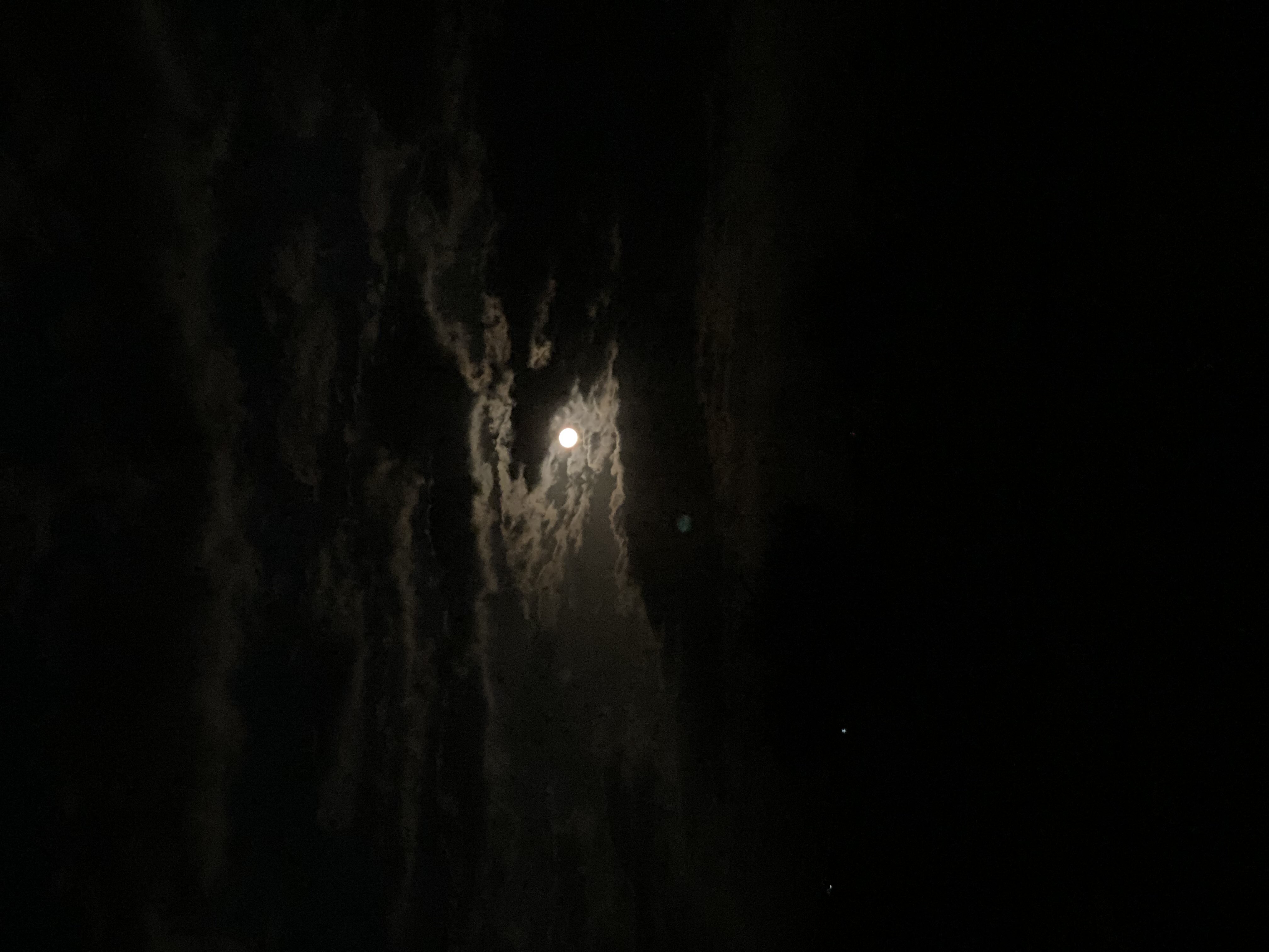 عبدالمطلوب البلادي