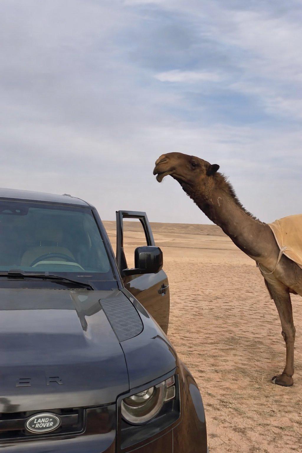 معاذ المطيري