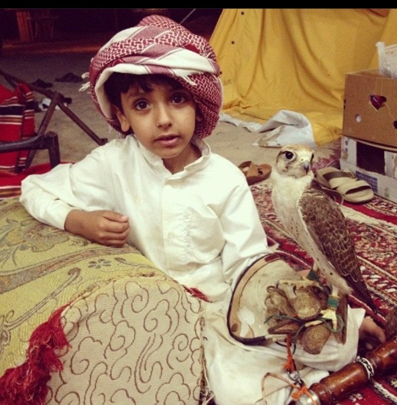 محمد بن حمد بن ناصر الغيثاني المري