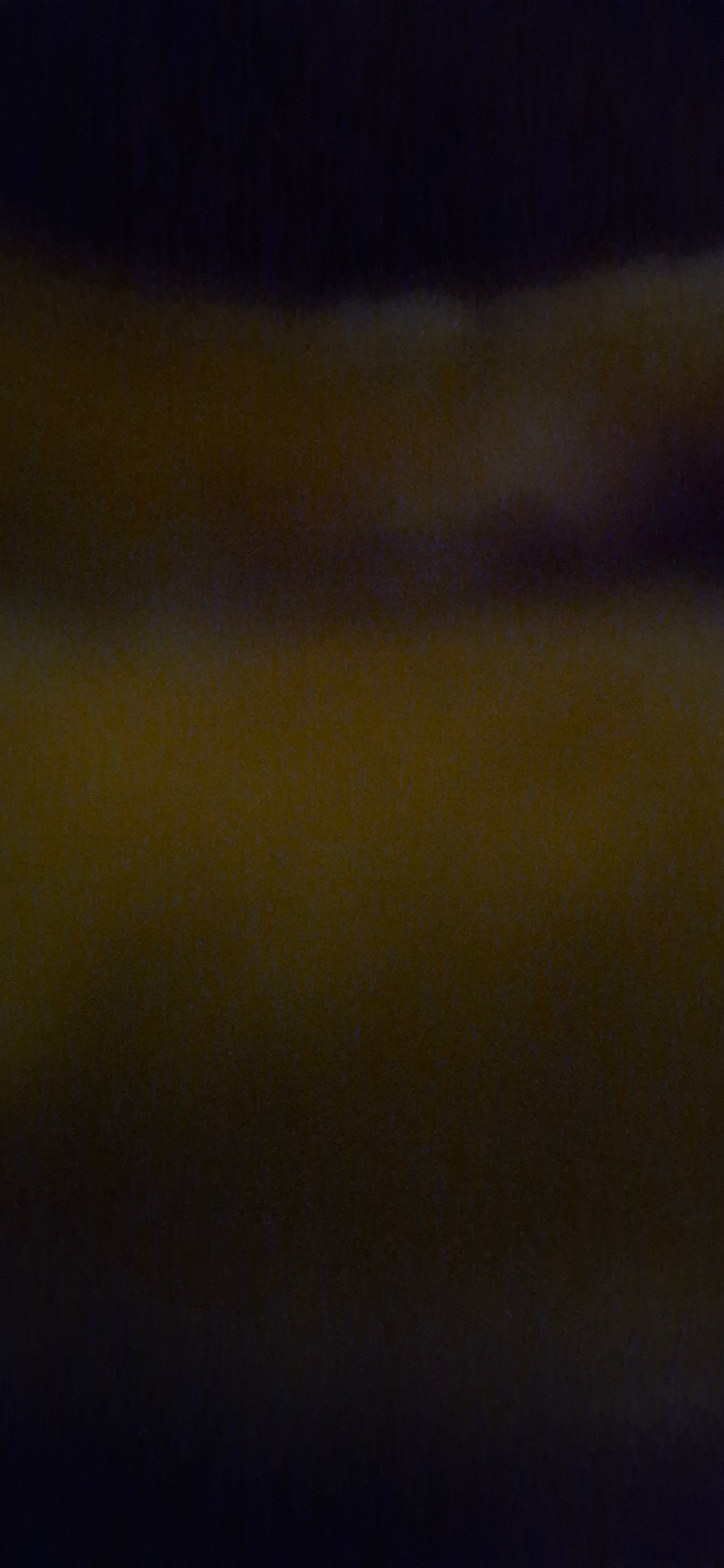 عائشه المالكي