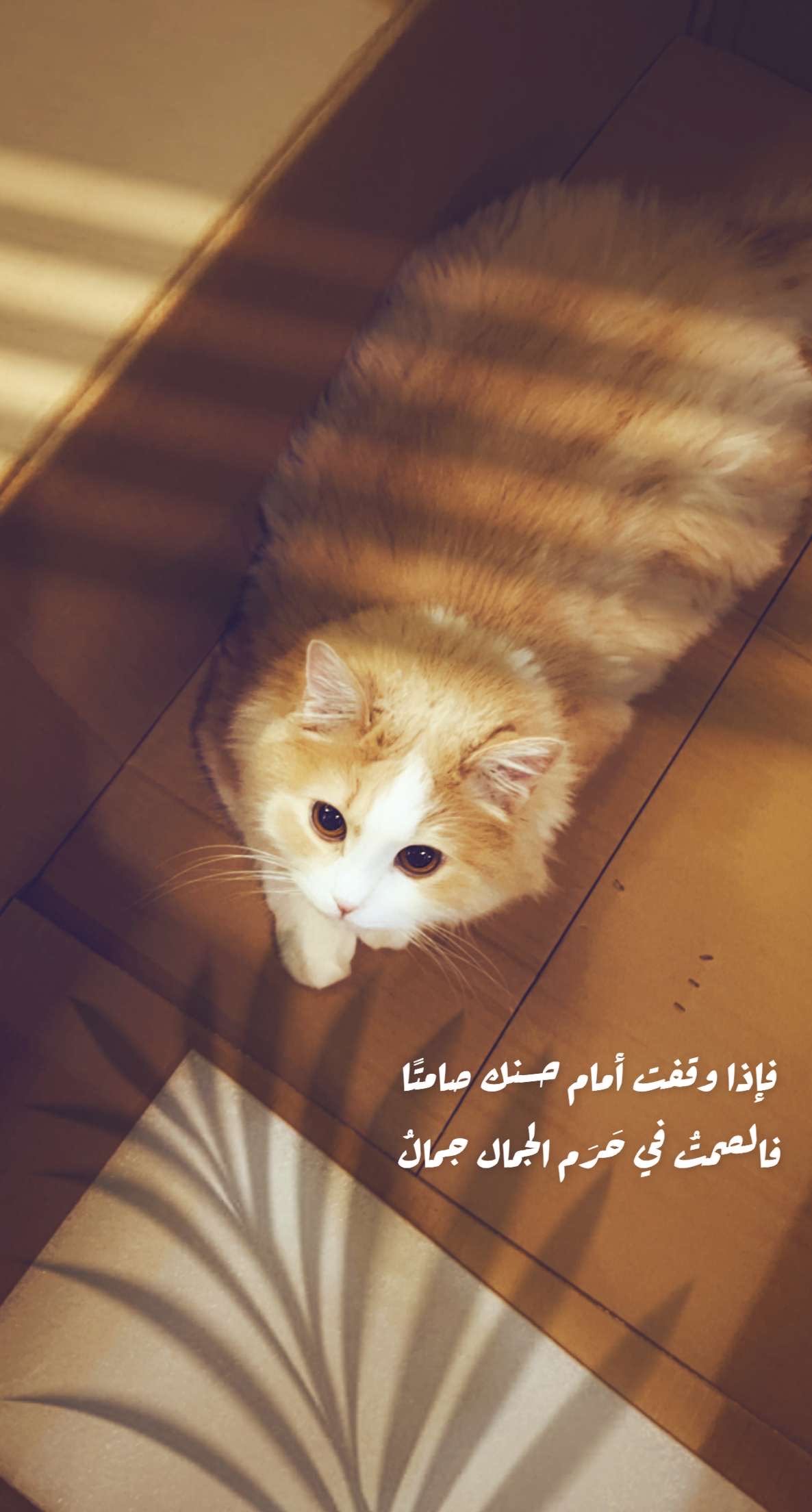 customer